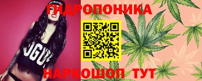 шишки Бузулук